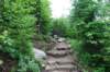 sentier_small.jpg
