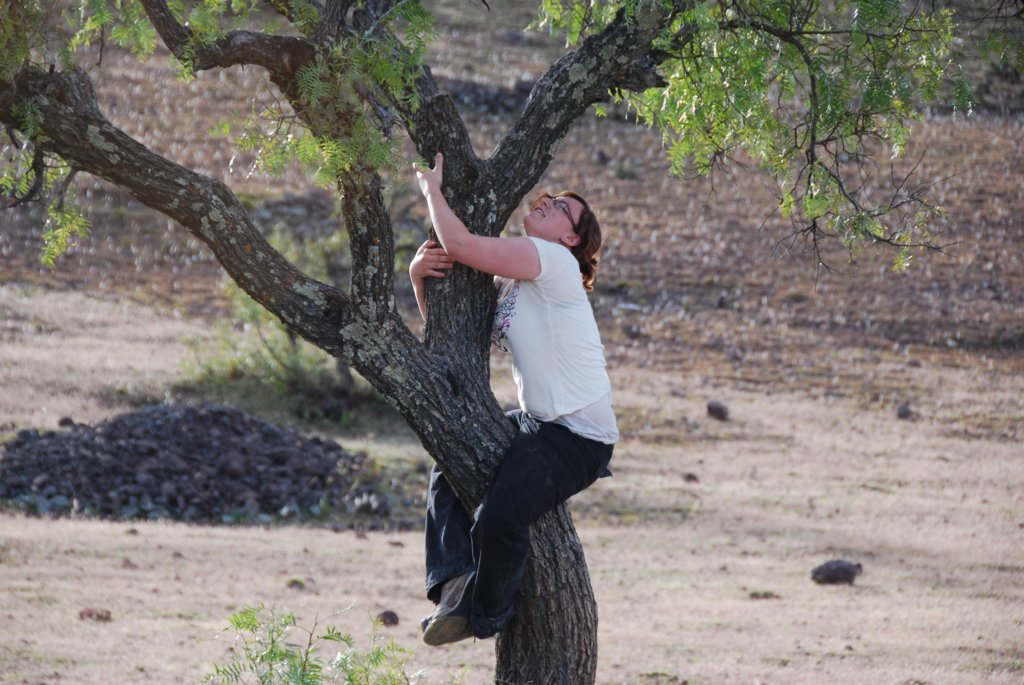 On grimpe au arbre pour le plaisir, mais on découvre les fourmis rouges