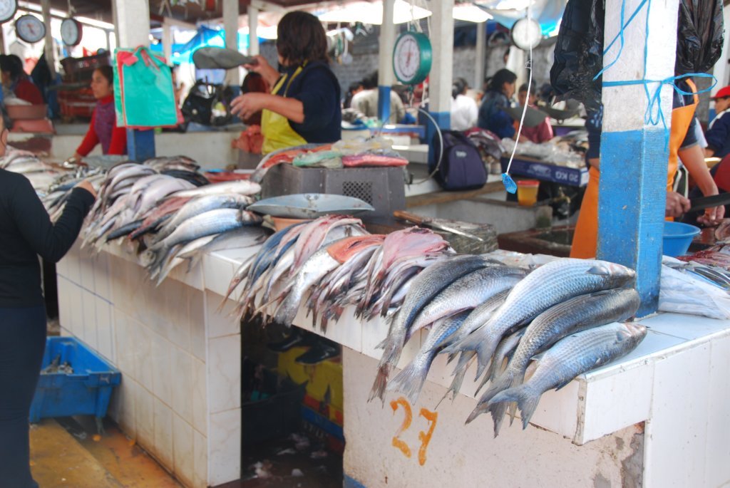 Étal de poisson (cette section du marché s'appelle le marché qui pue)