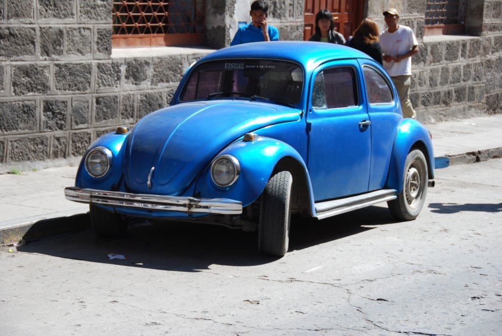 Une coccinelle bleue