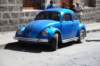Une coccinelle bleue