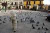 dsc_0050_small.jpg