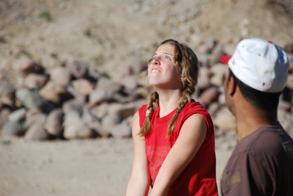 Une photo de l'album « Amistad 3 » sur le site web de la famille Ratté.