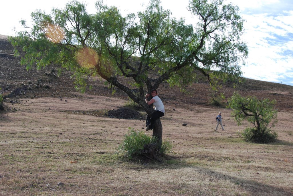Une photo de l'album « Amistad 3 » sur le site web de la famille Ratté.