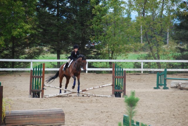 Une photo de l'album « Annso » sur le site web de la famille Ratté.