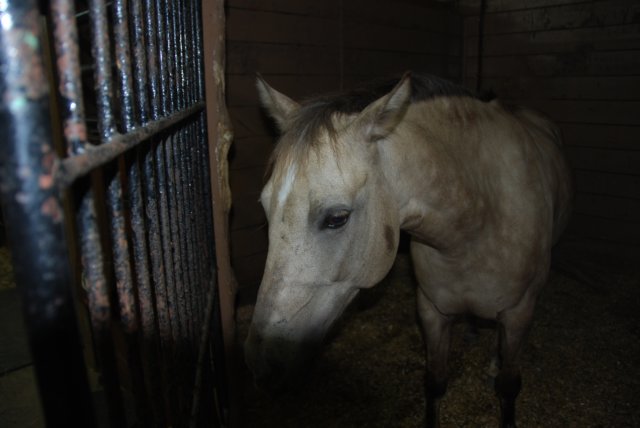 Une photo de l'album « Annso » sur le site web de la famille Ratté.