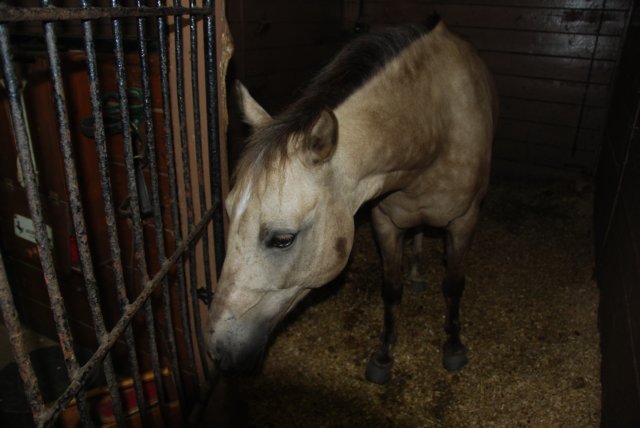 Une photo de l'album « Annso » sur le site web de la famille Ratté.