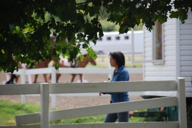 Une photo de l'album « Annso » sur le site web de la famille Ratté.
