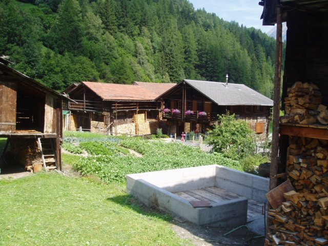 Photo 278.jpg