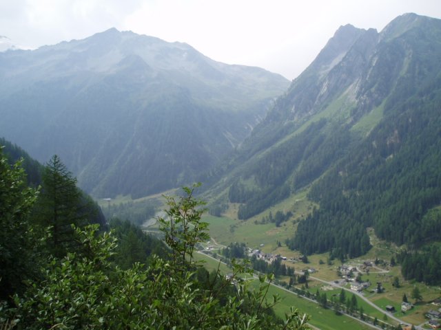 Photo 341.jpg