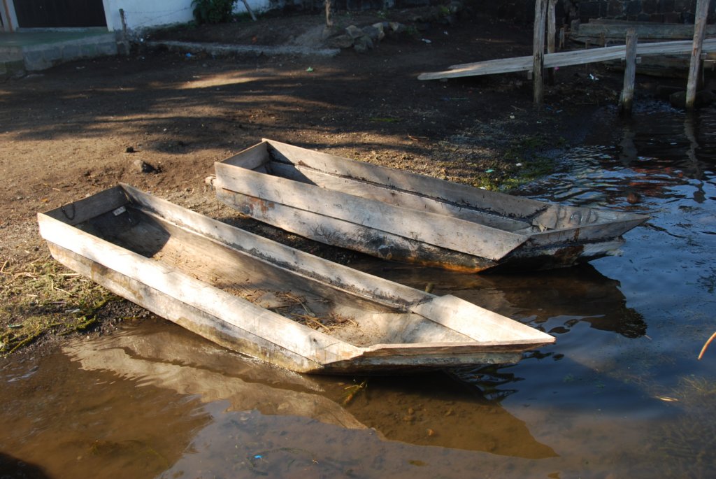 barquesdelacenplanchedebois.jpg