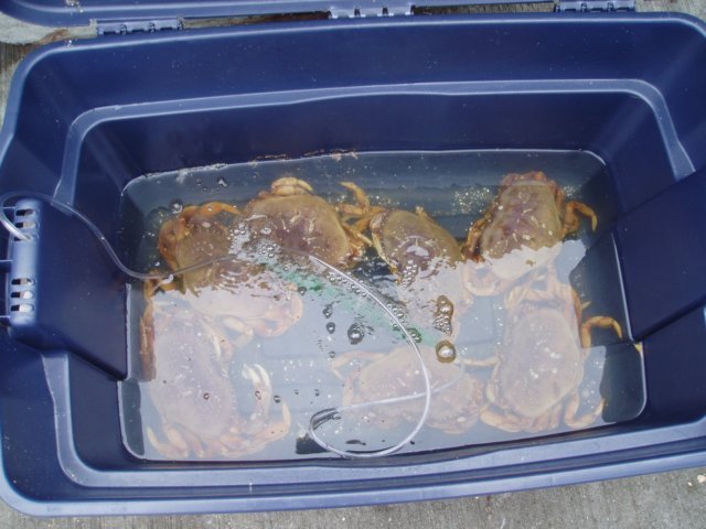Une photo de l'album « Californie Mai 2004 » sur le site web de la famille Ratté.