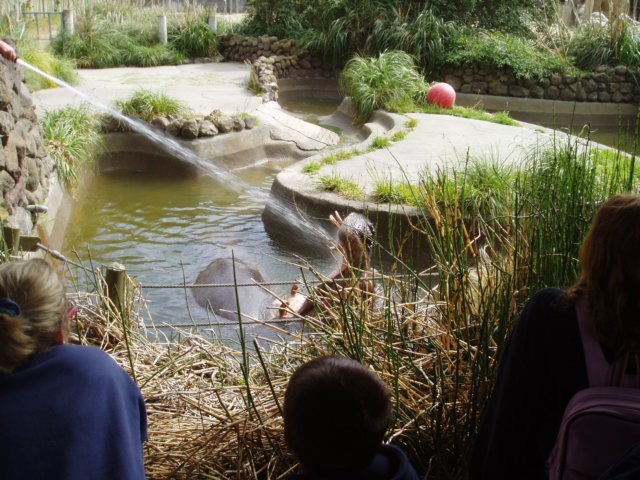 Une photo de l'album « Californie Mai 2004 » sur le site web de la famille Ratté.