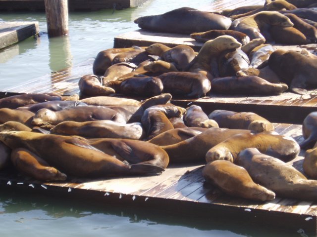 Une photo de l'album « Californie Mai 2004 » sur le site web de la famille Ratté.