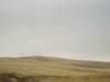 photo_9