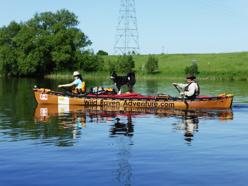 jasminesurveille.jpg
