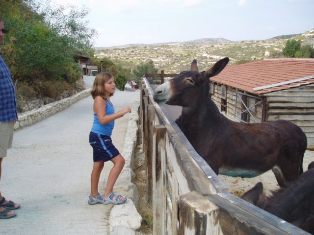 Anne-Sophie et les ânes