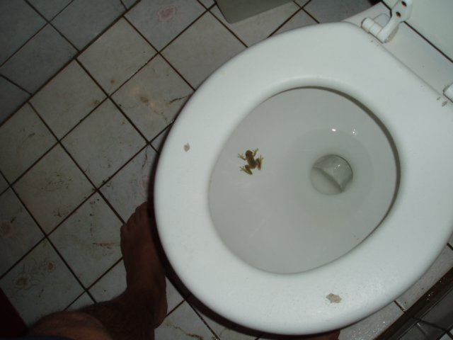 Une photo de l'album « Costa Rica 2004 » sur le site web de la famille Ratté.