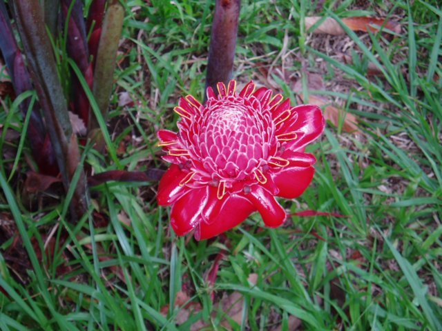 Une photo de l'album « Costa Rica 2004 » sur le site web de la famille Ratté.