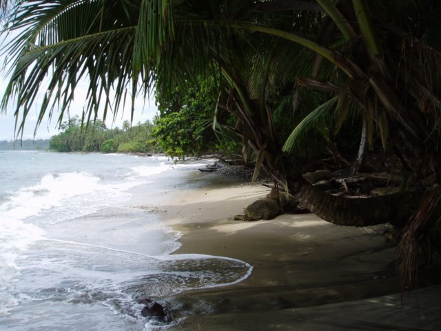 Une photo de l'album « Costa Rica 2004 » sur le site web de la famille Ratté.