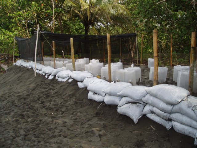 Une photo de l'album « Costa Rica 2004 » sur le site web de la famille Ratté.