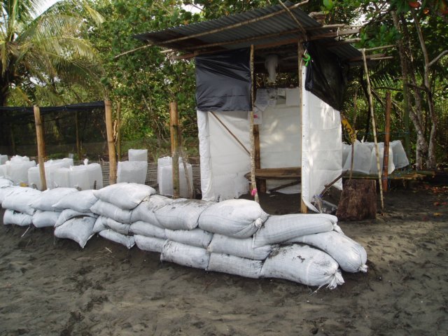 Une photo de l'album « Costa Rica 2004 » sur le site web de la famille Ratté.