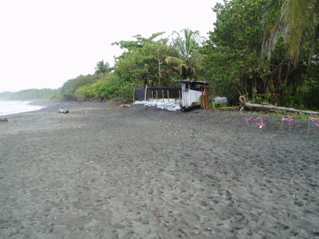 Une photo de l'album « Costa Rica 2004 » sur le site web de la famille Ratté.