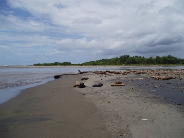 Une photo de l'album « Costa Rica 2004 » sur le site web de la famille Ratté.