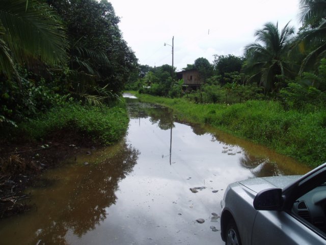 Une photo de l'album « Costa Rica 2004 » sur le site web de la famille Ratté.