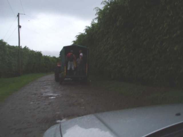 Une photo de l'album « Costa Rica 2004 » sur le site web de la famille Ratté.