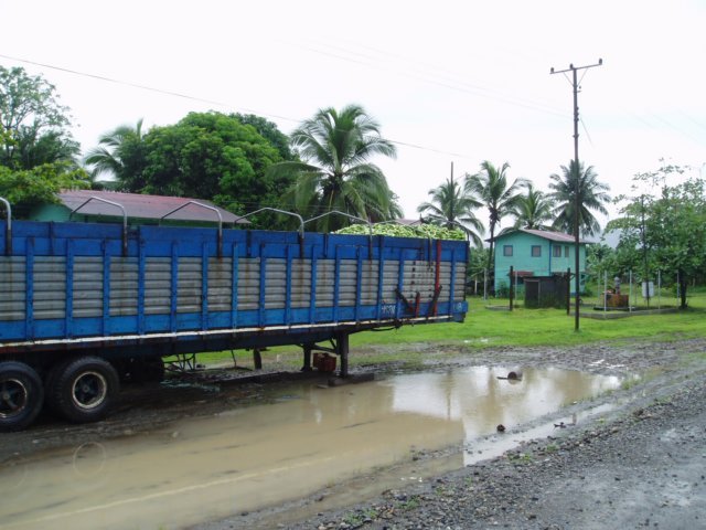 Une photo de l'album « Costa Rica 2004 » sur le site web de la famille Ratté.