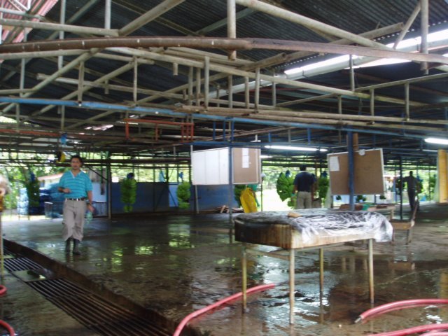 Une photo de l'album « Costa Rica 2004 » sur le site web de la famille Ratté.