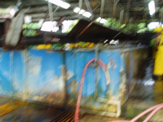 Une photo de l'album « Costa Rica 2004 » sur le site web de la famille Ratté.