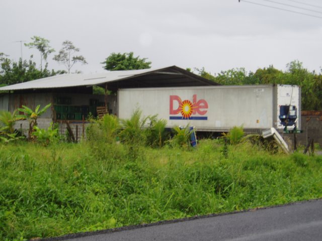 Une photo de l'album « Costa Rica 2004 » sur le site web de la famille Ratté.
