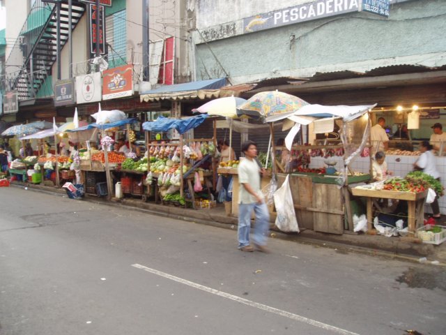 Une photo de l'album « Costa Rica 2004 » sur le site web de la famille Ratté.