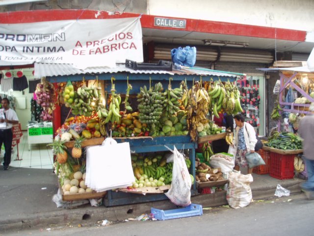 Une photo de l'album « Costa Rica 2004 » sur le site web de la famille Ratté.