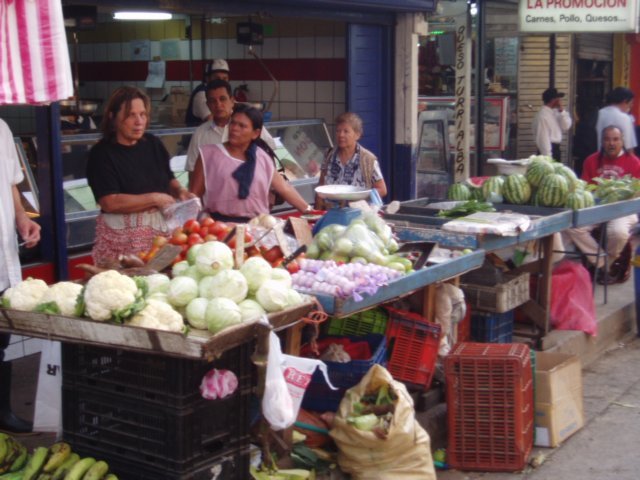 Une photo de l'album « Costa Rica 2004 » sur le site web de la famille Ratté.