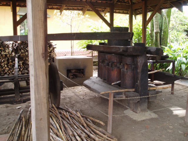 Une photo de l'album « Costa Rica 2004 » sur le site web de la famille Ratté.