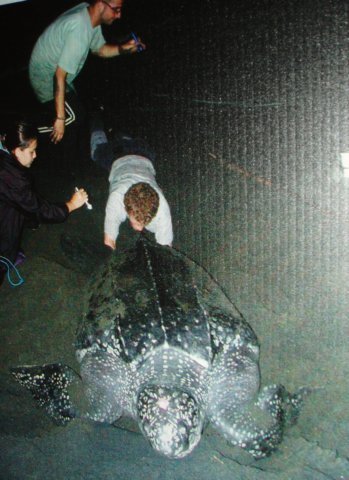 Une photo de l'album « Costa Rica 2004 » sur le site web de la famille Ratté.