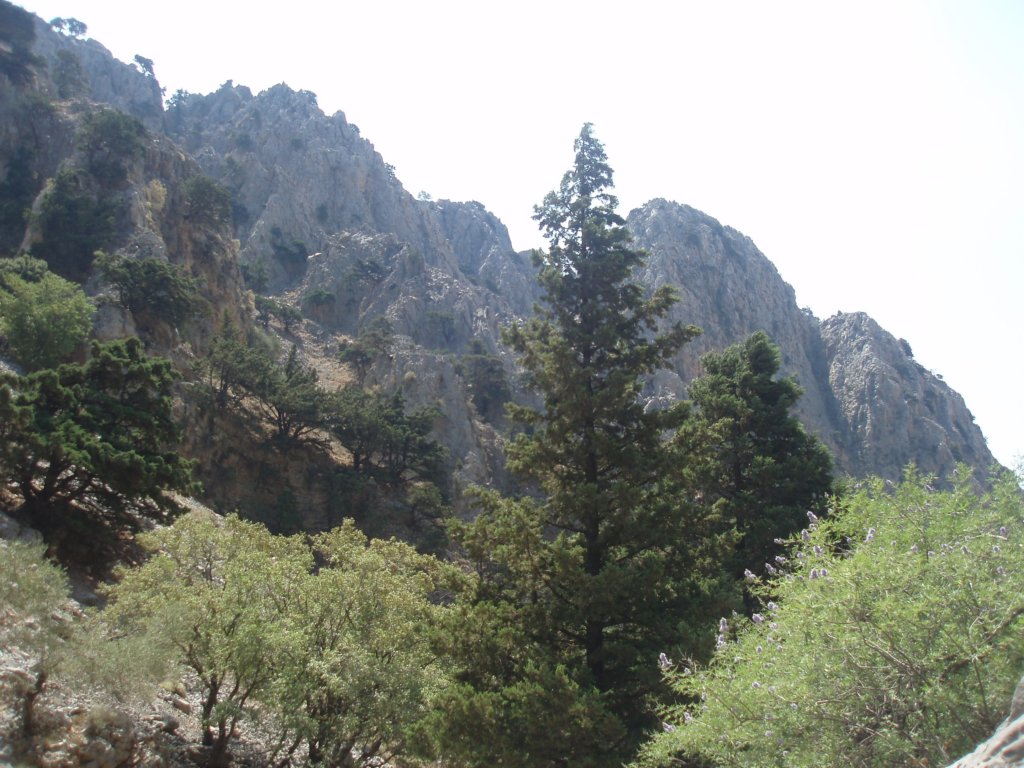 p7180148.jpg