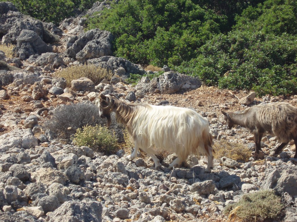 p7200200.jpg