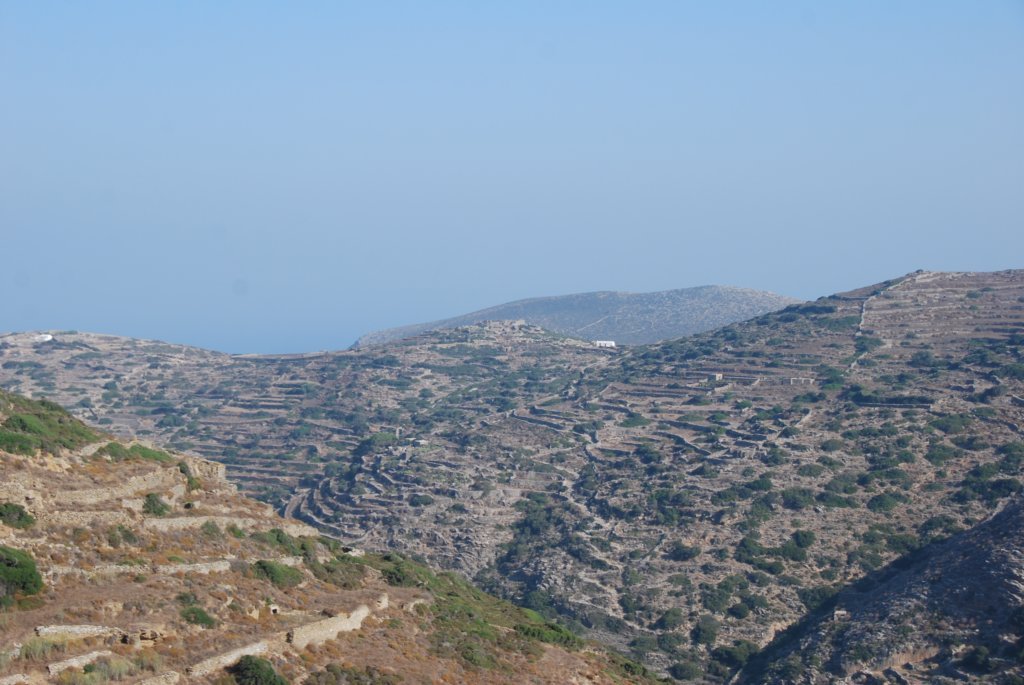 Le paysage