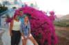 Les fleurs sont magnifique: ici des bougainvilliers