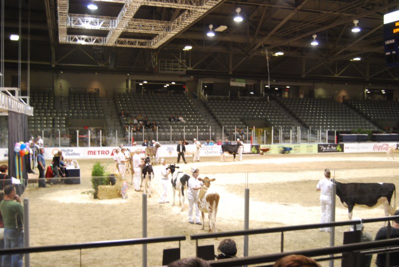 Une photo de l'album « Expo-Québec 2007 » sur le site web de la famille Ratté.