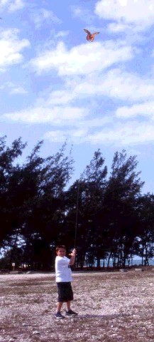 Photograph