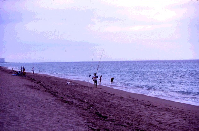 Une photo de l'album « Floride Mars 2003 » sur le site web de la famille Ratté.