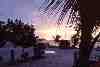 photo_29