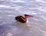 photo_62