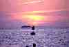 photo_69
