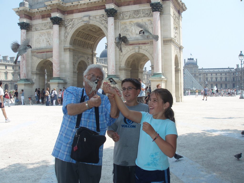 oiseauxaulouvre.jpg